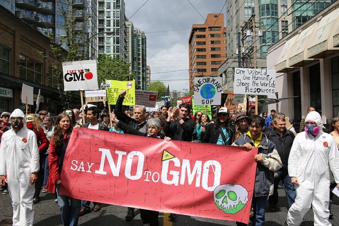 Coalition calls for ban on GMOs in Nigeria