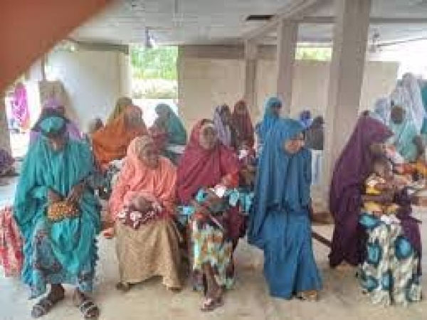 Jigawa women seek free contraceptives as family planning adoption grows