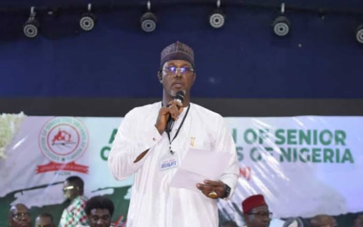 State governors playing politics with minimum wage ? Civil servants