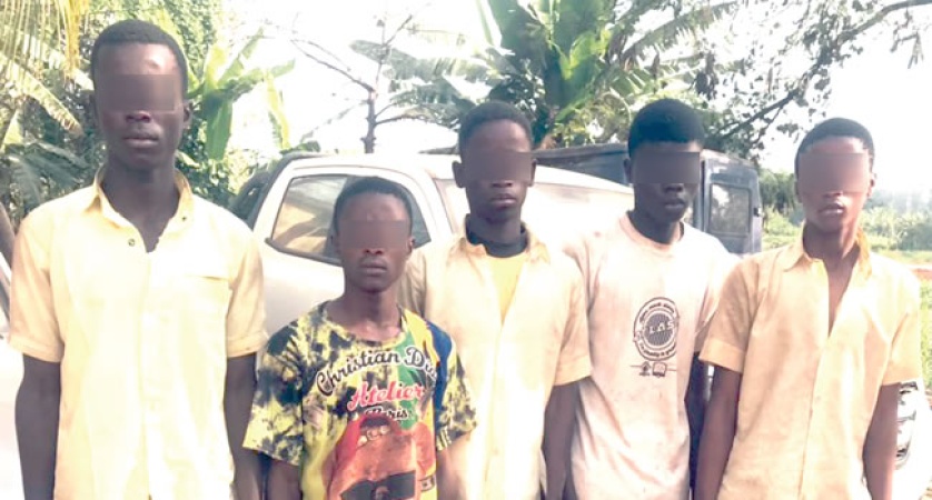 Mass rape: Five arrested students confess, give full details
