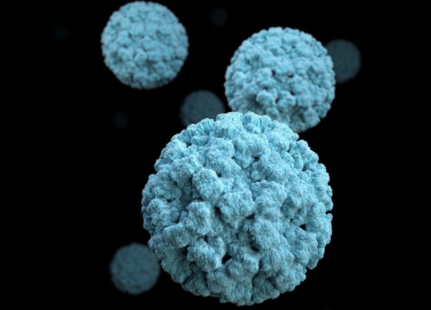 Be on the lookout for 'Big 4' of infectious diseases during holiday season