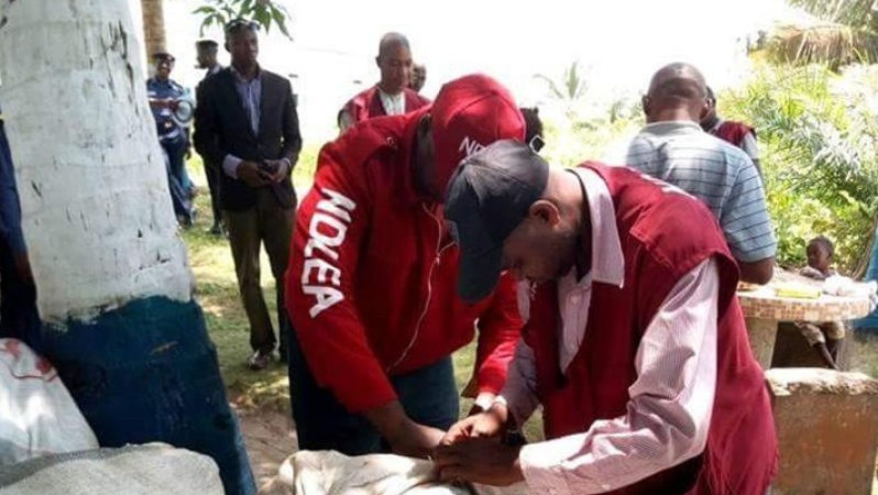 Christmas: NDLEA raids Kano drug dens, arrests 34 suspects