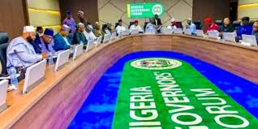 Tax bills: Govs, stakeholders in high wire consultations