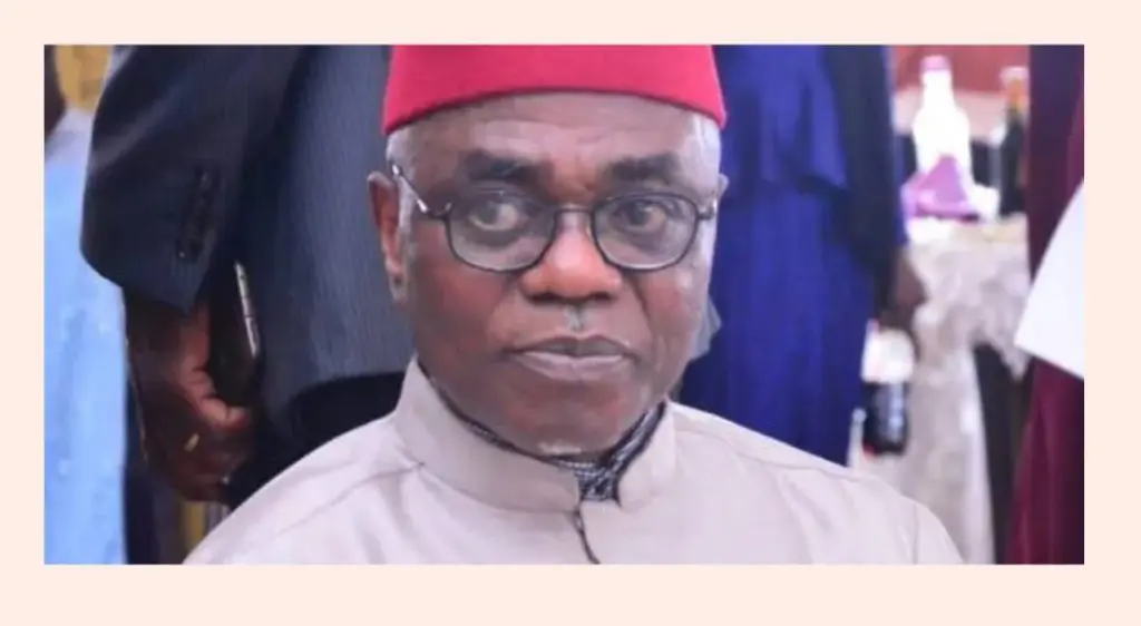 Ohanaeze President-General states member states ahead Jan. 10, 2025 NEC election