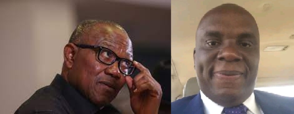 APC slams Peter Obi, says Tinubu?s economic policies working