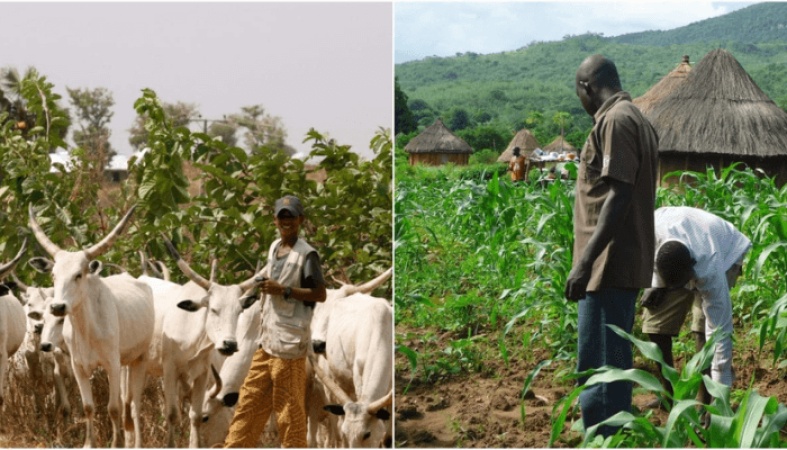 One dies, many injured as farmers, herders clash in Jigawa
