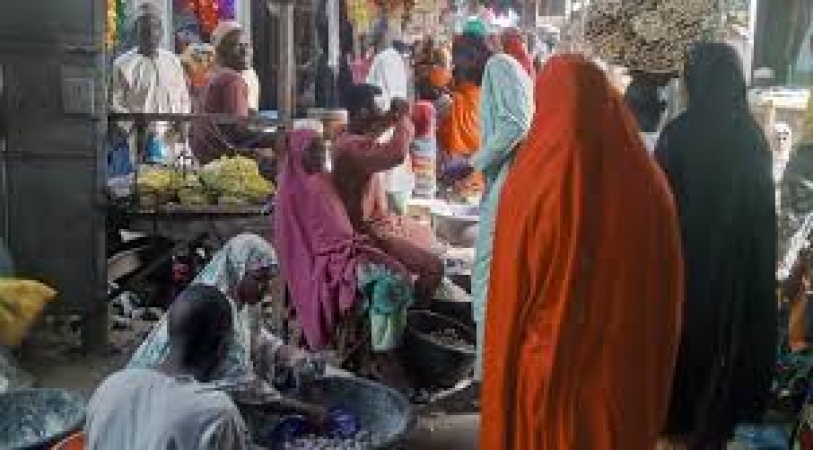 Kano cow milk market boom excites traders