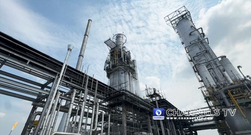 PETROAN urges FG to privatise refineries, seeks N100bn grant from Tinubu
