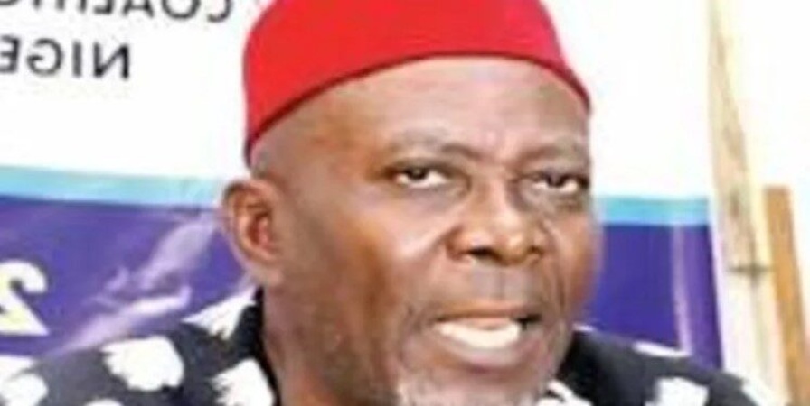 Okwukwu emerges Ohanaeze president, vows to pursue Kanu release, restructuring