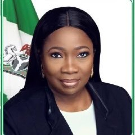 Nigerians in diaspora spent about N60bn during 2024 Christmas holiday visits ? NIDCOM Chairman
