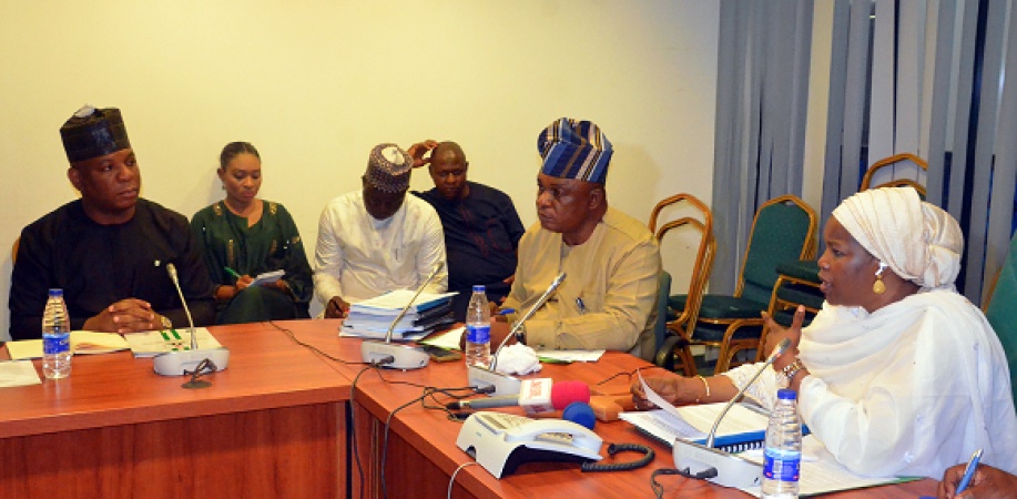 2025 Budget: National Assembly frowns on ?ghost projects? in Steel Ministry