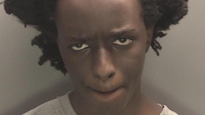 18-year-old boy stabs 3 girls to death in England