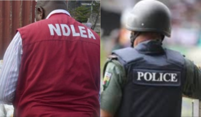 Panic, gunshots as Police, NDLEA clash over suspected drug dealer