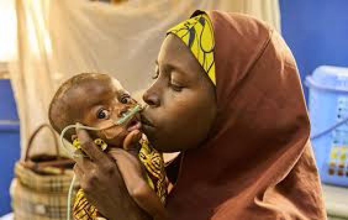 Call intensifies to curb worsening humanitarian crisis in North-East