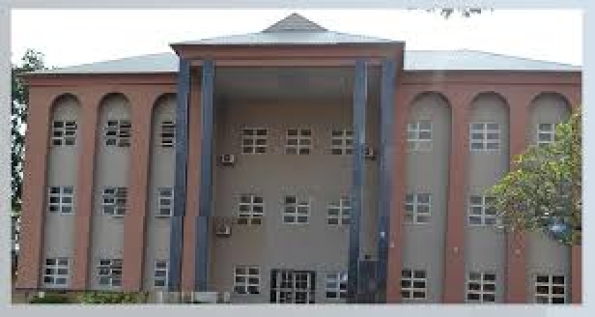 Defamation: Medical Director loses appeal against Enugu psychiatrist nurse