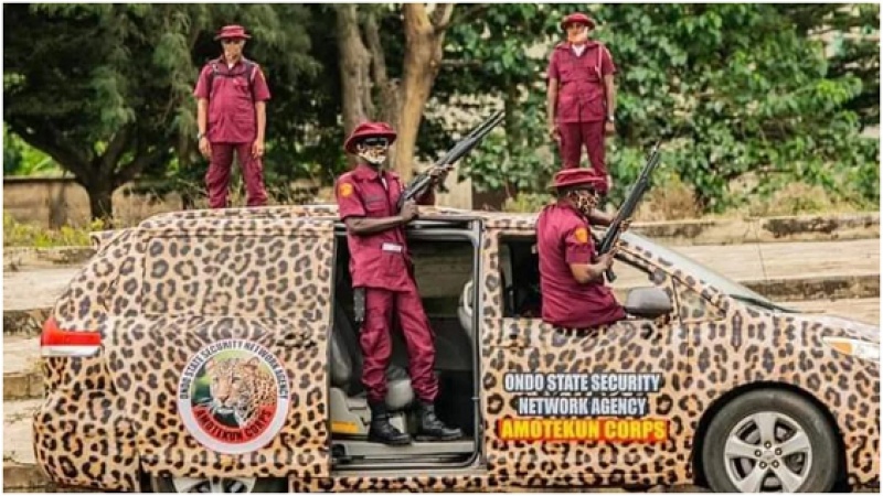 Afenifere to Tinubu, license Amotekun to carry lethal weapons for enhanced security