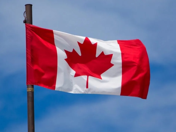 Migrant workers in Canada exposed to ?shocking abuse and discrimination,? Amnesty says