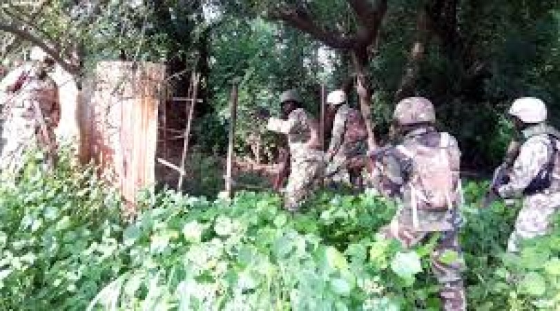 Human skulls, parts discovered as Agunechemba raids Ihiala forest