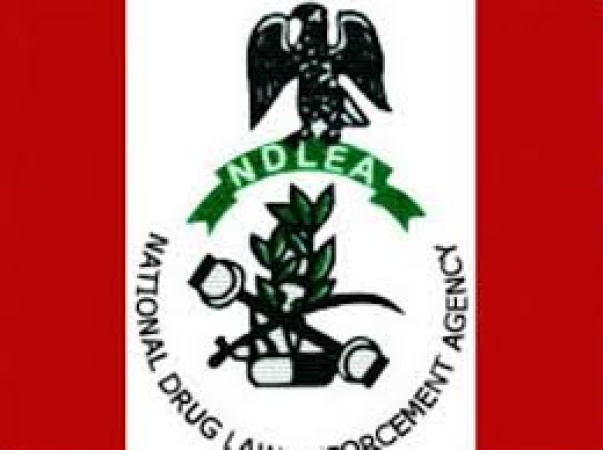 NDLEA storms Kano drug joints, arrests 18 in major raids