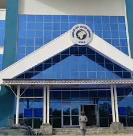 FG revokes licences of two airlines