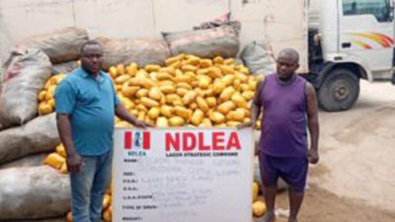 NDLEA intercepts 2,000kg skunk at Lagos beach