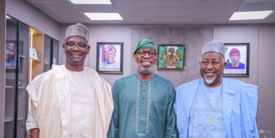 Nasarawa pivotal to minerals development ? Alake