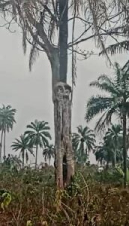 Ekiti celebrates as engineer discovers mysterious tourism site
