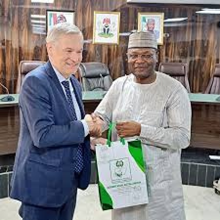 The EU?s ?19bn aid for Nigeria?s democracy