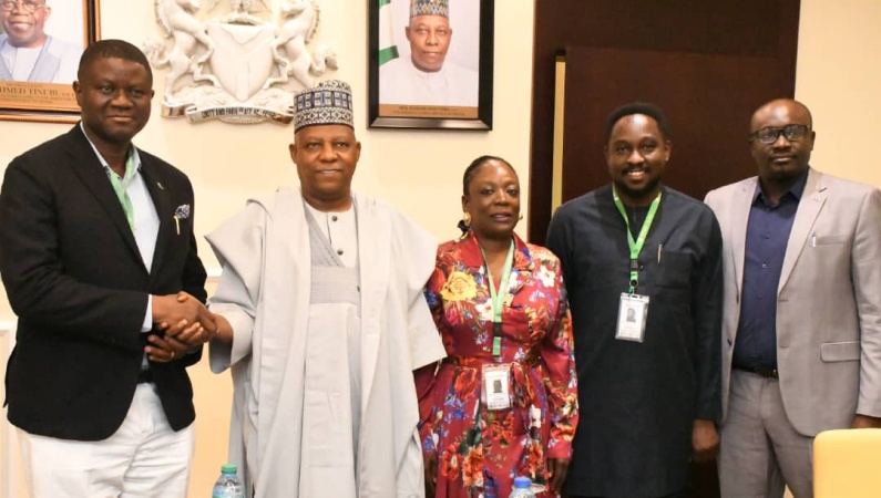Patients from US, others now throng Nigerian hospitals ? Shettima