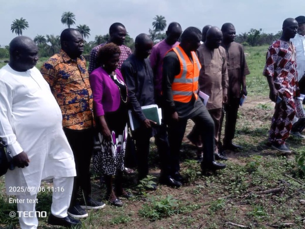 60MW Power Plant: Bayelsa begins EIA