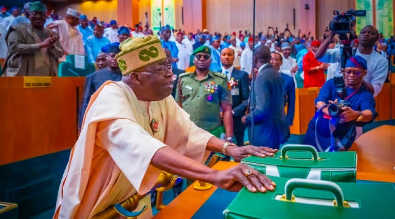 Experts divided over Tinubu?s budget expansion proposal