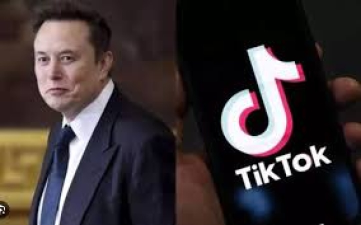 No plans to acquire TikTok?s US operations ? Elon Musk