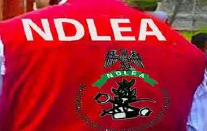 Cocaine shipment: NDLEA declares four members of ?Barryshine? cartel wanted