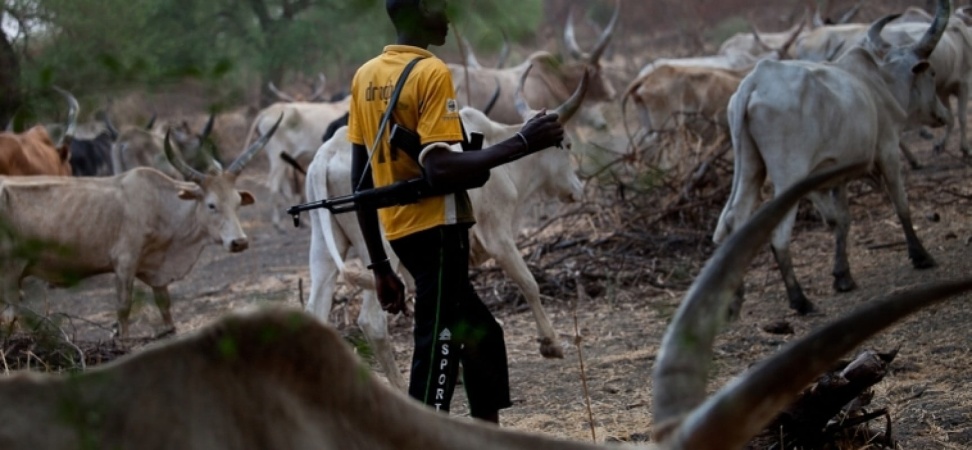 Suspected herdsmen kill 16-year-old girl for resisting being raped