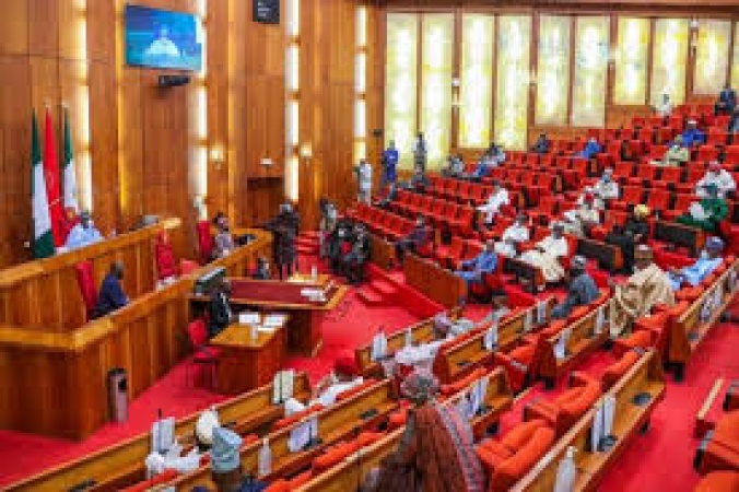 3,907 rifles missing from Police formations, commands ? Senate