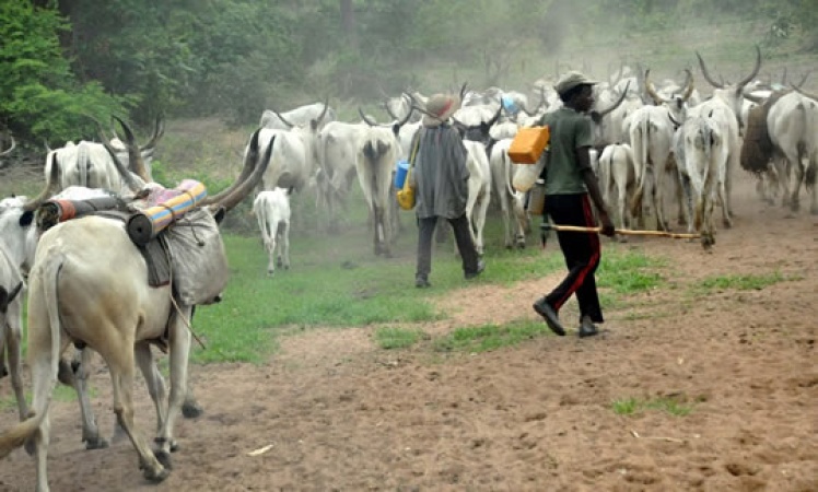 Tension in Imo community as police investigate threatening message by suspected herdsmen