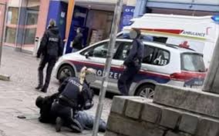 Asylum seeker stabs teen dead, injures others in Austria