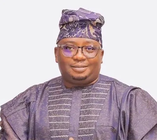 FG owing GenCos, DisCos N4trn ? Minister