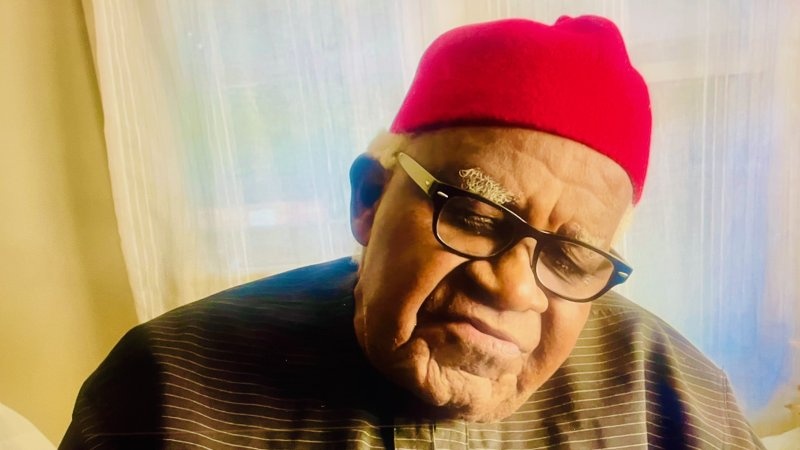 Prof. Ifemesia, a true scholar worthy of emulation ? Obi