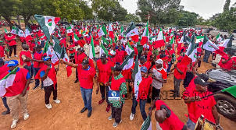 NLC rejects electricity tariff adjustment, threatens nationwide protests