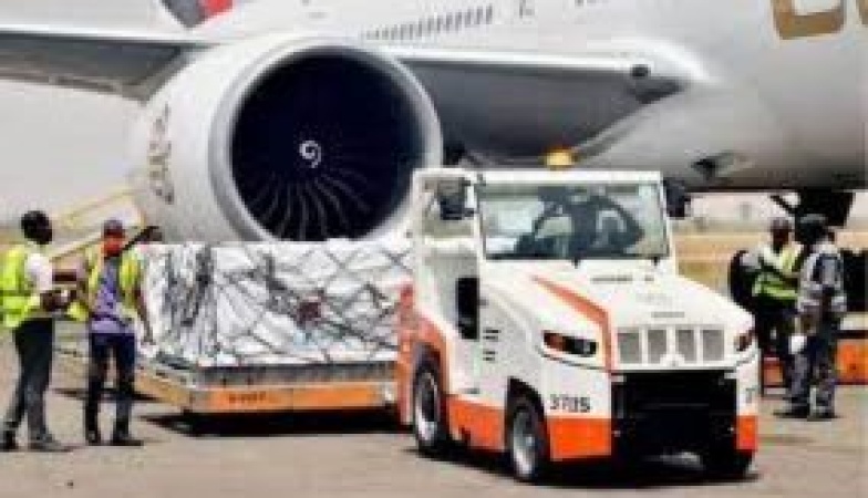  FAAN?s new equipment can?t check bird strikes