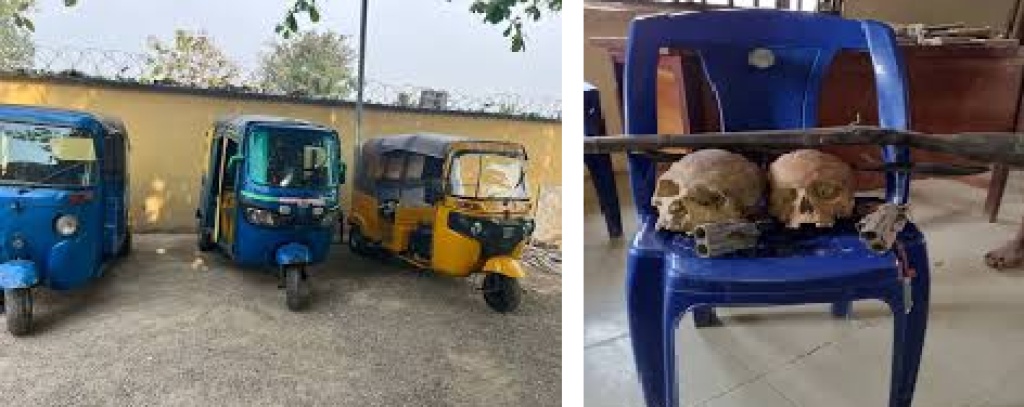 Police arrest man with human skulls, recover stolen tricycles in Ebonyi
