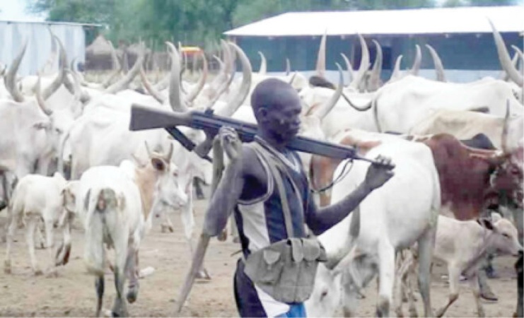 Pregnant woman, 5 others dead, many wounded as farmer/herder clash in Nasarawa