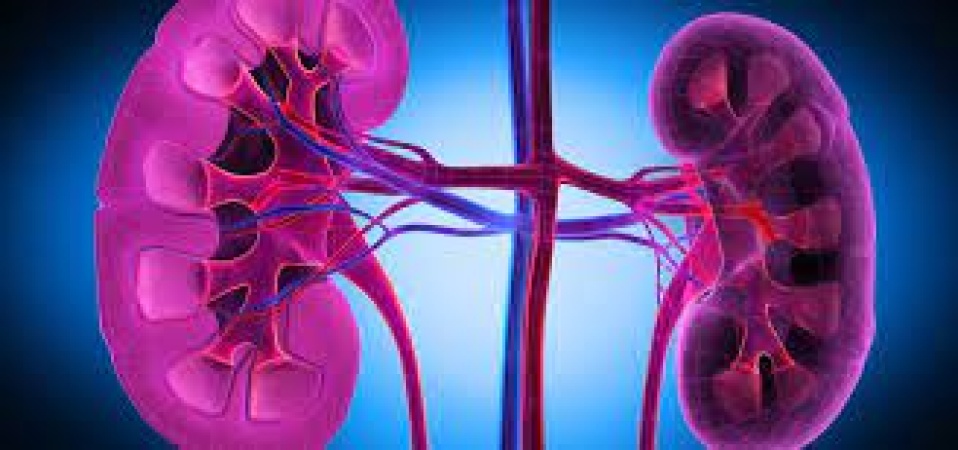 Bleaching cream, herbal remedies can cause kidney disease ? Expert