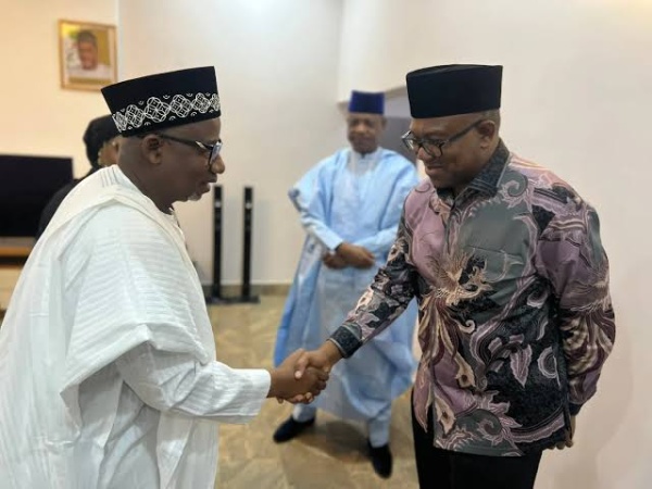 I?m ready to work with Peter Obi ? Bauchi governor