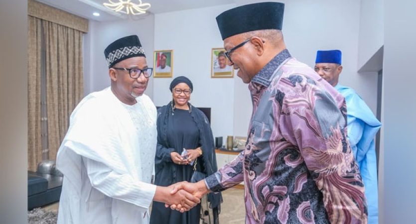 2027: Why I visited Gov Bala ? Peter Obi