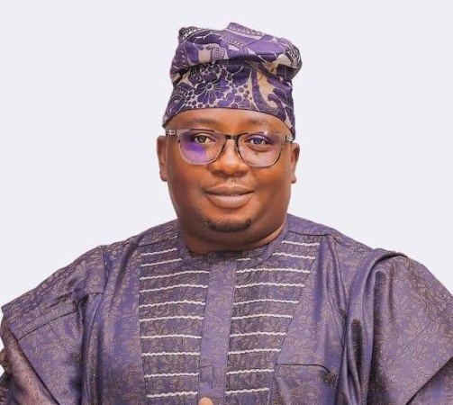 Tackling Nigeria?s epileptic power supply
