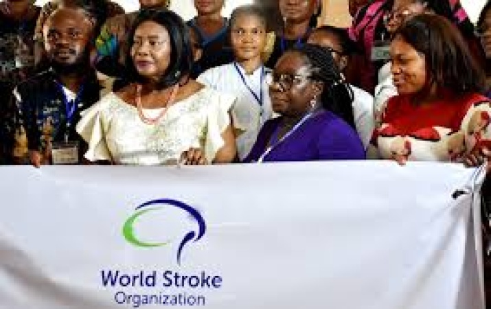 Global experts tackle stroke management crisis, activate training in Asaba