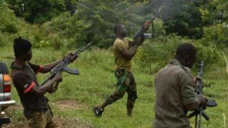 Imo communities take up the fight against kidnapping