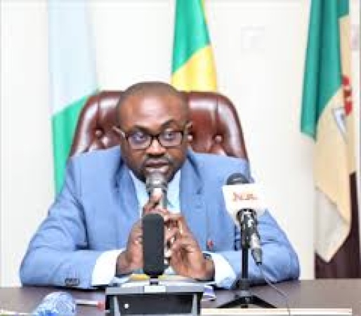 Expatriate Quota: FG to clampdown on irregular migrants beginning Aug. 1